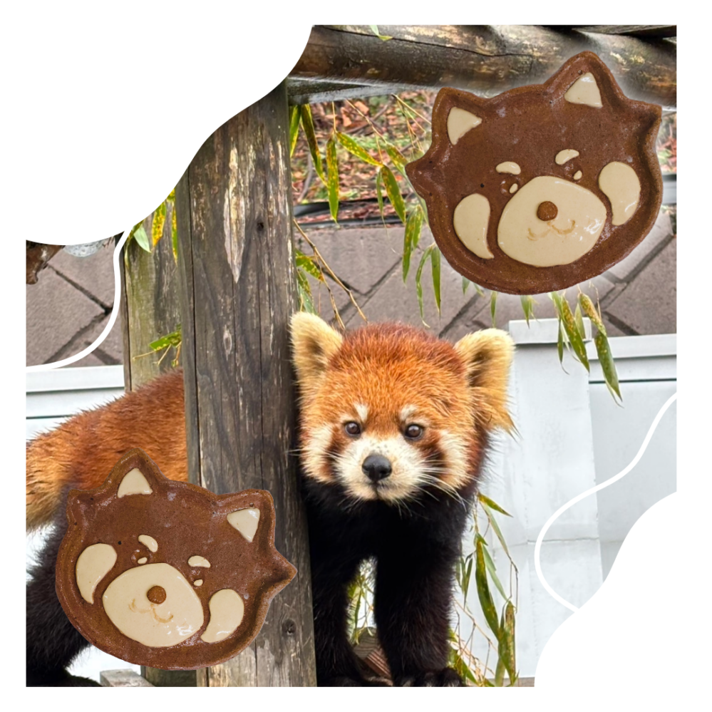 丹南地域コラボ企画　越前焼でレッサーパンダのお皿を作ろう！