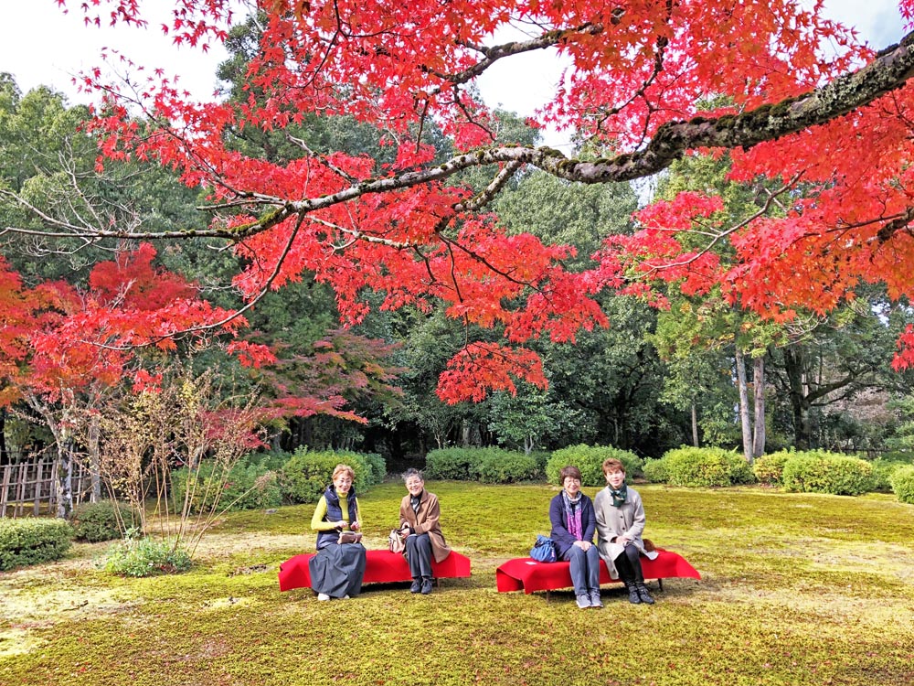 幽石庭の紅葉と和のアフタヌーンティー