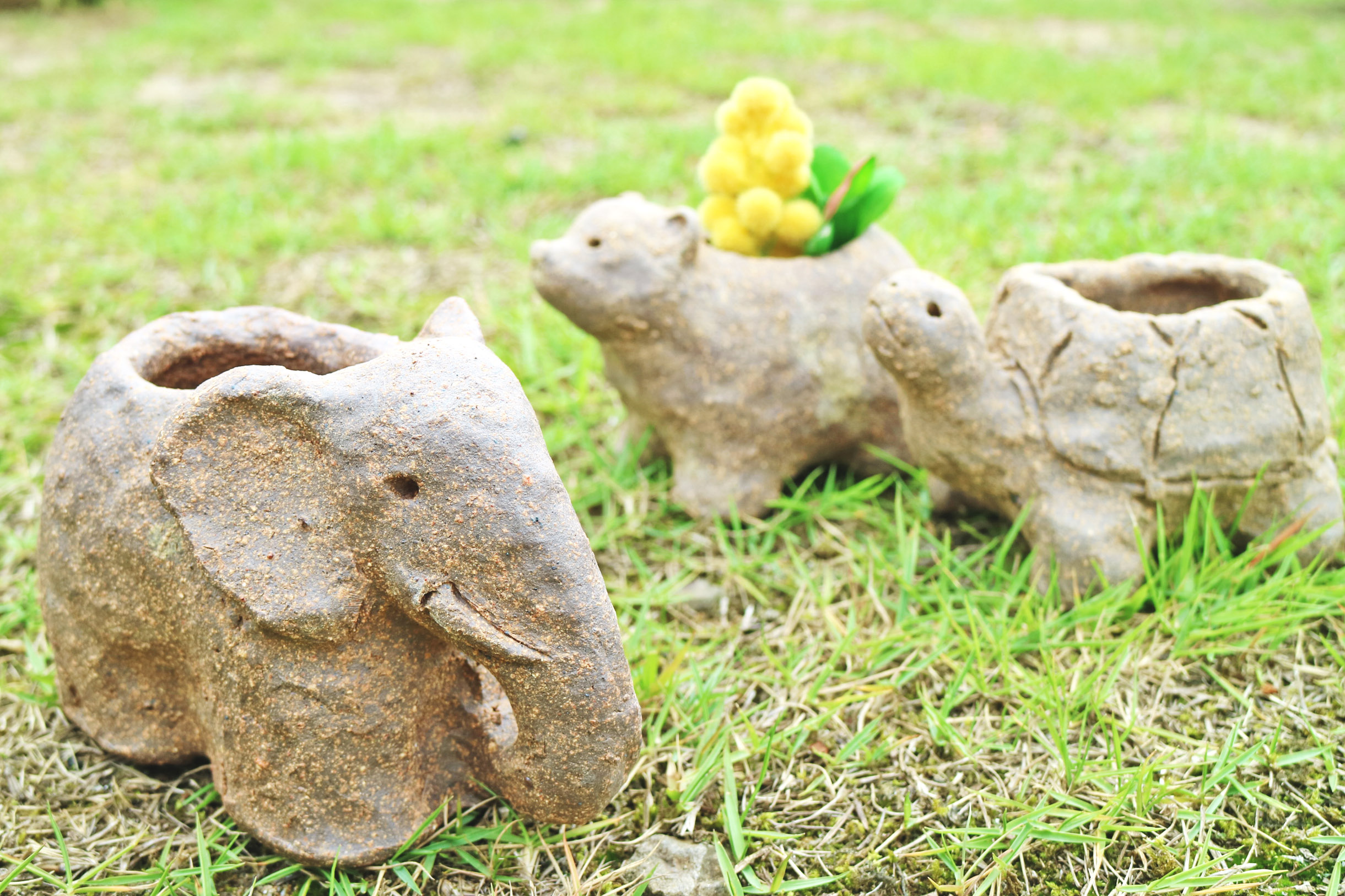 宇一郎先生に教えてもらう『ちょっと大きな』かわいい動物グリーンポットづくり