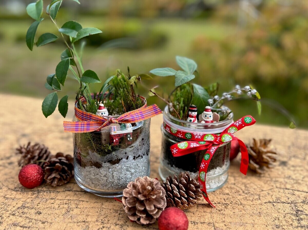 クリスマスに飾る苔テラリウムを作ろう