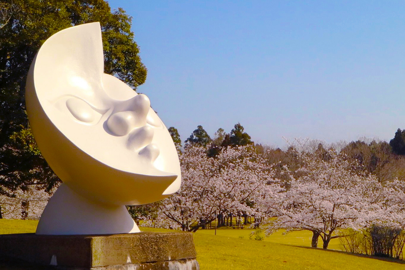 越前陶芸公園　春らんまんフォトコン2025