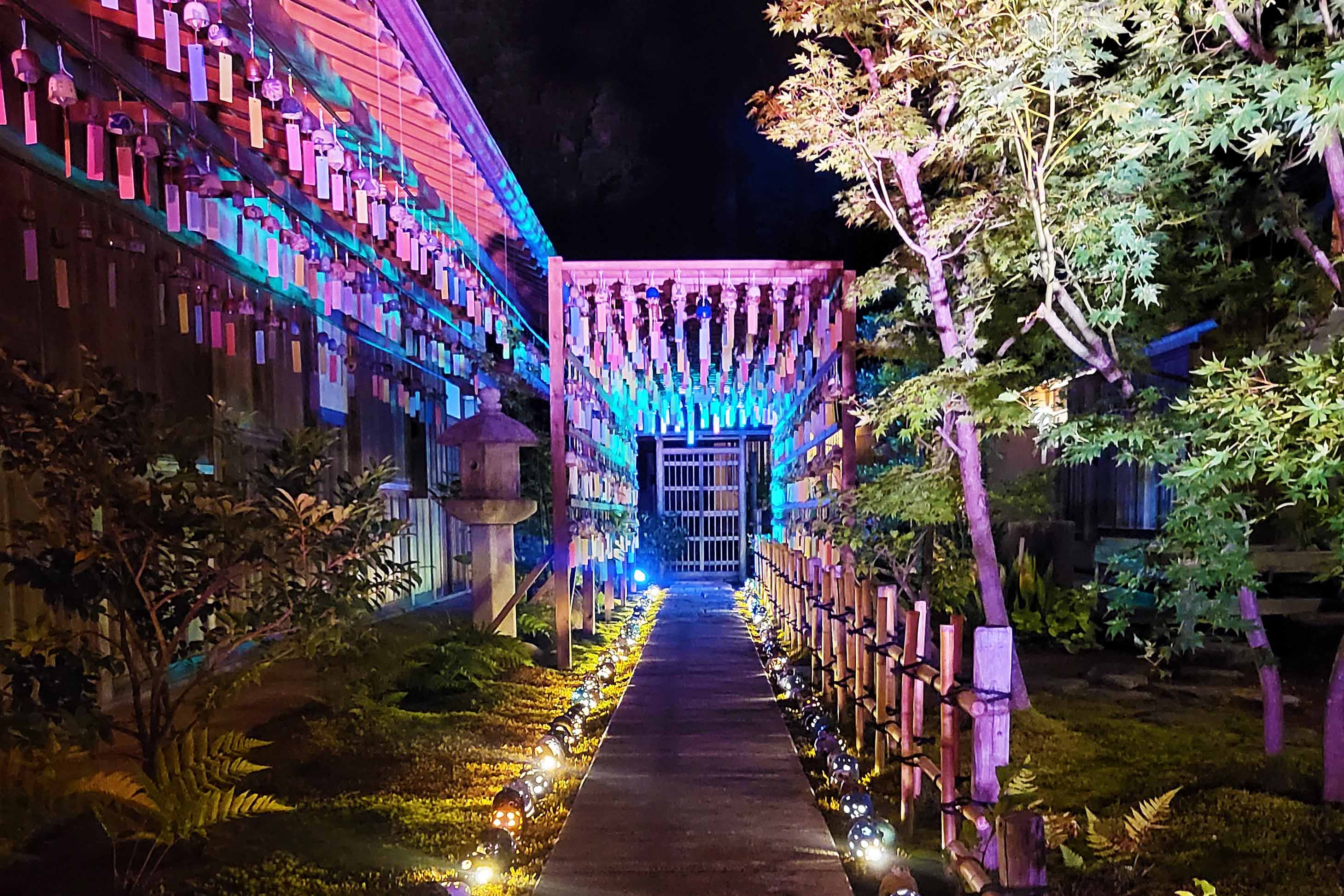夜にライトアップされた陶ふうりんの様子